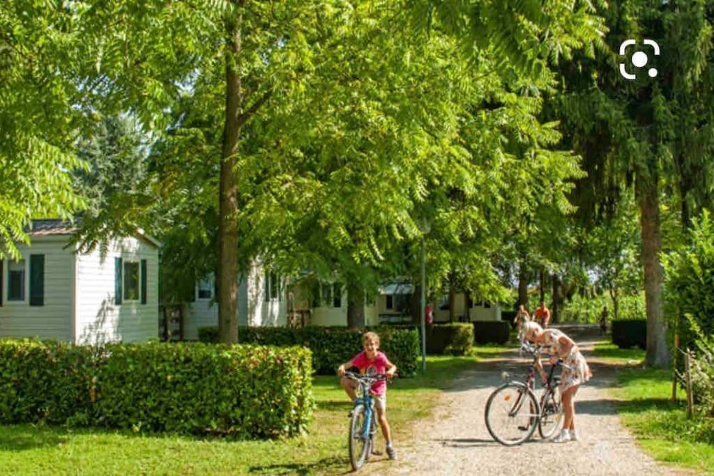 Апартаменти Location Mh Situee A 15 Mn D Europa Park Et Rulantika Boofzheim Екстер'єр фото